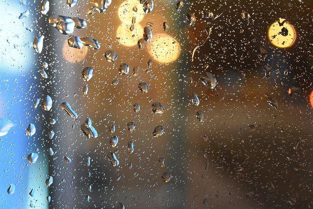 The rain bokeh